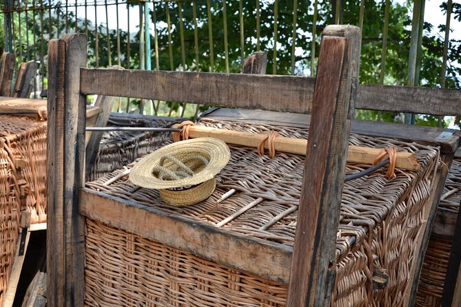 Private Express Tuk Tuk Tour Funchal Old Town & Toboggans - Common Questions