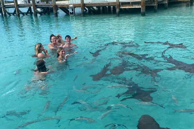 Private Exuma Swimming Tour With Lunch at the Beach Bar - Tour Details