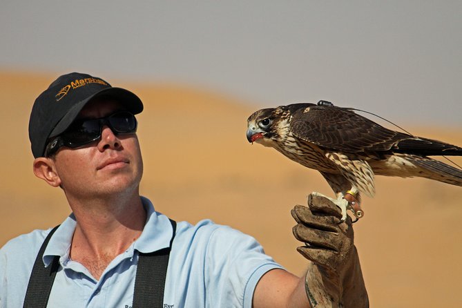 Private Falconry Experience and Nature Desert Safari in Dubai - Exploring the Dubai Desert Conservation Reserve