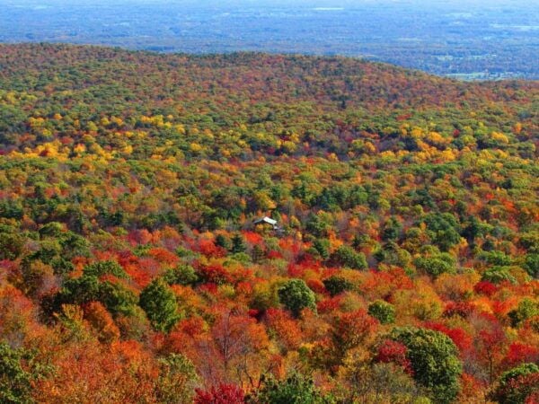 Private Fall Foliage Helicopter Tour of the Hudson Valley - Common Questions