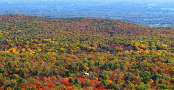 Private Fall Foliage Helicopter Tour of the Hudson Valley - The Sum Up