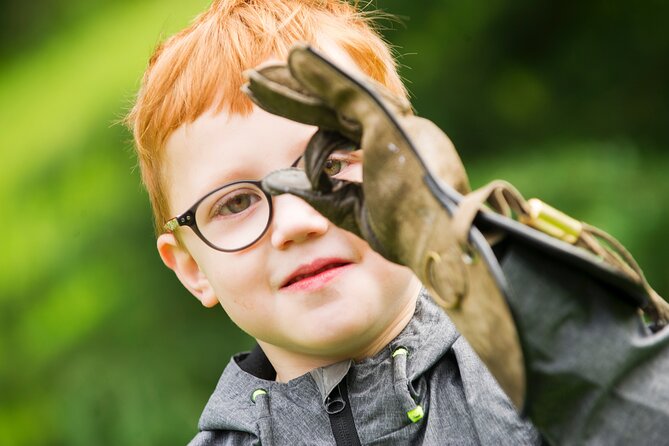 Private Family Bird of Prey Experience in Carlisle - Meeting and Pickup