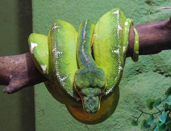 Private Family Fun Tour in Rio: Including Christ the Redeemer - Tour Highlights