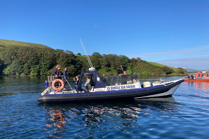 Private Family Sea Safari - Spot Dolphins During Your Sea Safari
