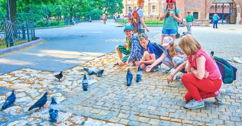 Private Family Tour of Krakow Old Town with Cruise Tickets - The Value of This Tour