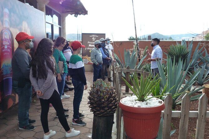 Private Family Tour visitng Mitla, Mezcal Factory, HIerve el Agua - Frequently Asked Questions