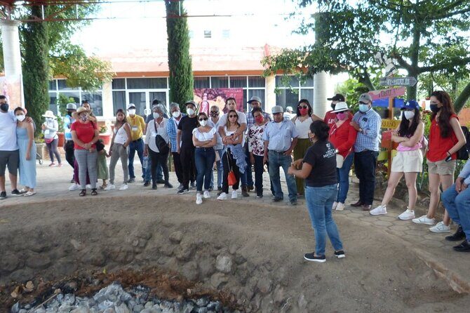 Private Family Tour visitng Mitla, Mezcal Factory, HIerve el Agua - Final Thoughts