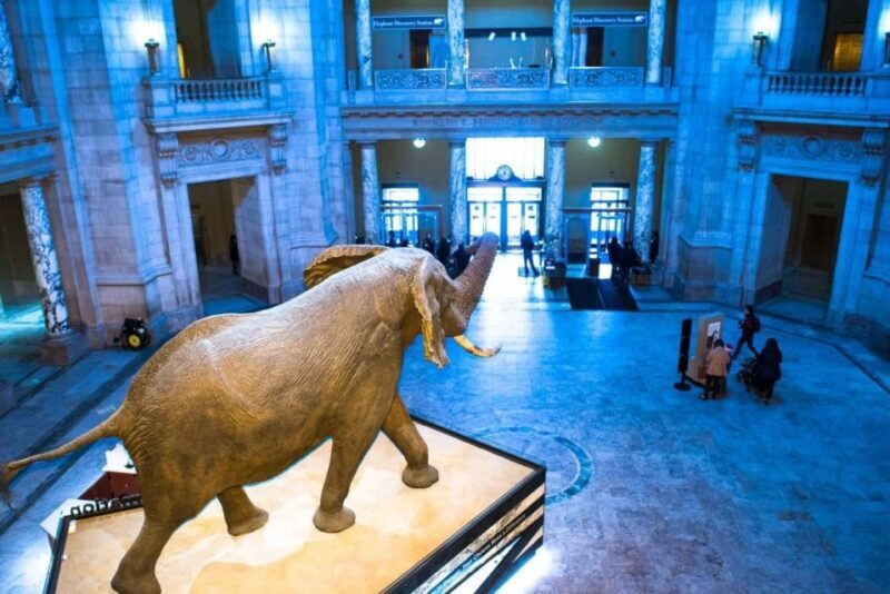 Private Family walking tour in Washington - Good To Know