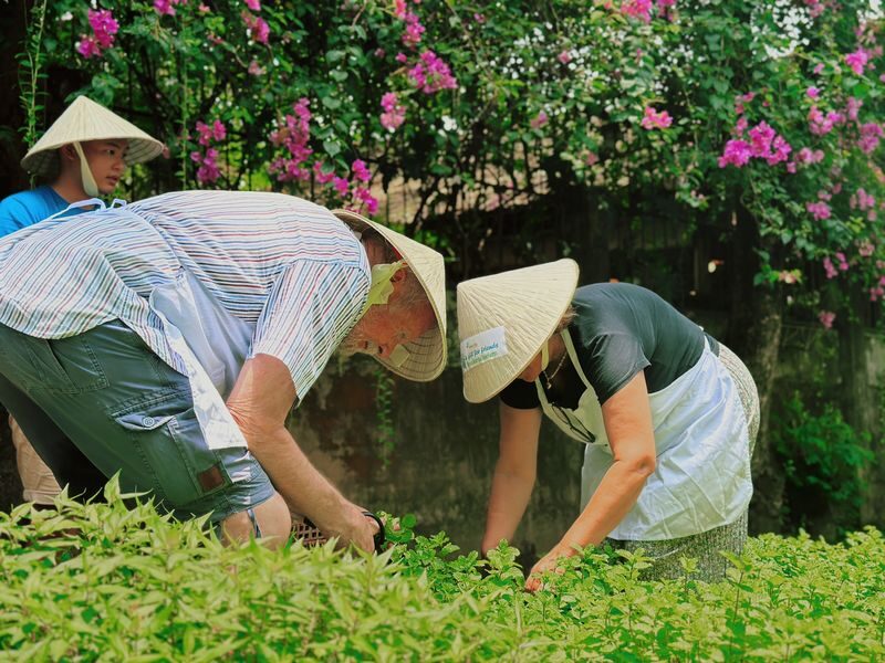 Private Farm Tour & Cooking Class in Ho Chi Minh City - Welcome snacks, farm paths, and room to look around