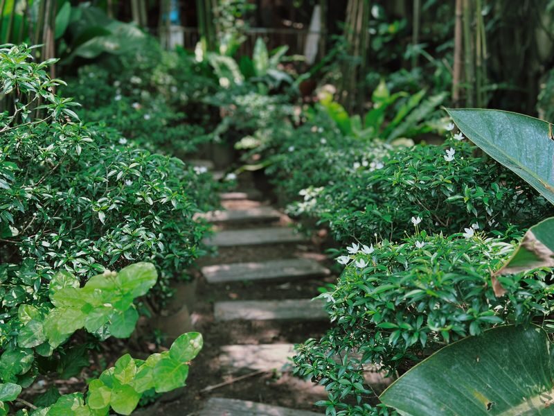 Private Farm Tour & Cooking Class in Ho Chi Minh City - Should you book the farm cooking class?