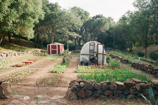 Private Farm Workshop in Napa Valley - Overview of the Private Farm Workshop