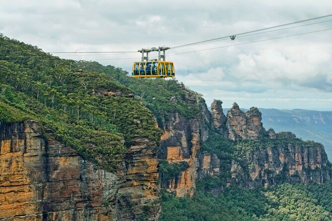 PRIVATE Featherdale Zoo Blue Mountains Scenic World in Luxury Car - Tour Pricing