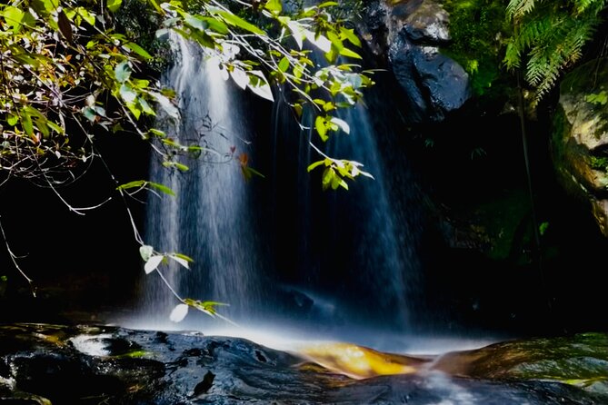 PRIVATE Featherdale Zoo Blue Mountains Scenic World in Luxury Car - Tour Inclusions