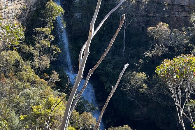 PRIVATE Featherdale Zoo Blue Mountains Scenic World in Luxury Car - Common Questions