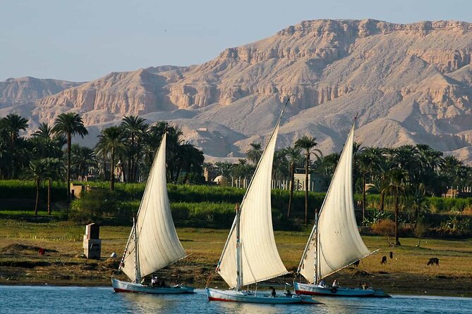 Private Felucca Boat Ride With Banana Island Visit - The Sum Up