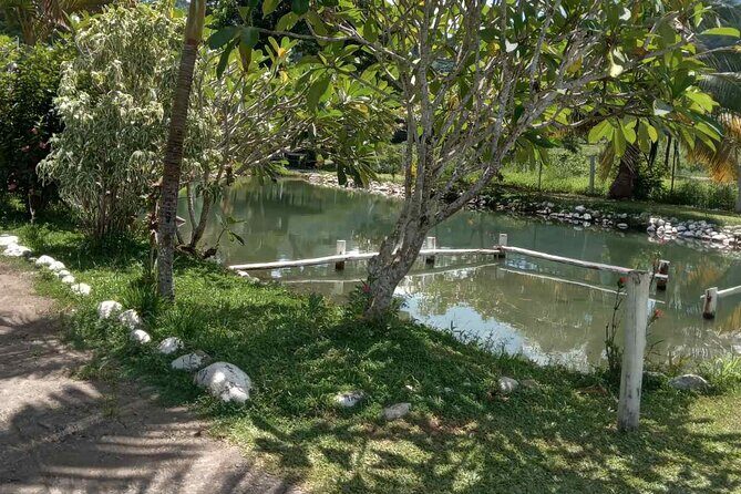 Private Fiji Tour - Exploring Fiji with a Private Tour: An Honest Review