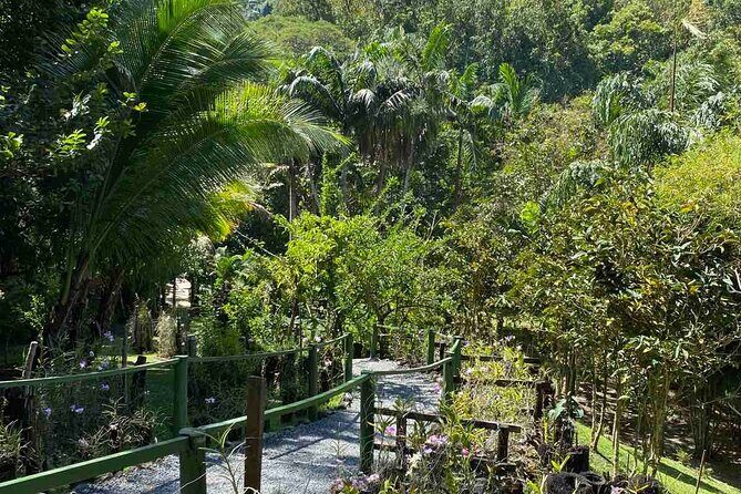 Private Fiji Tour - Practical Details and What You Should Know