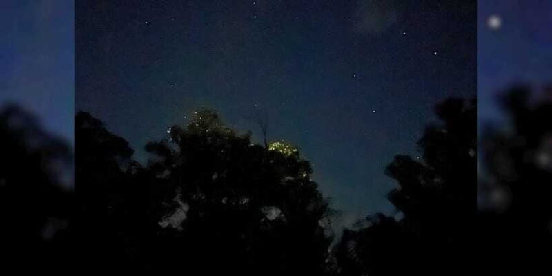 Private Firefly Watching Night Cruise on Bohol Abatan River - Practical Details and Considerations