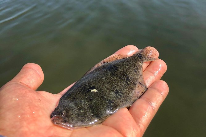 Private Fishing Adventure in the Mangroves - Frequently Asked Questions