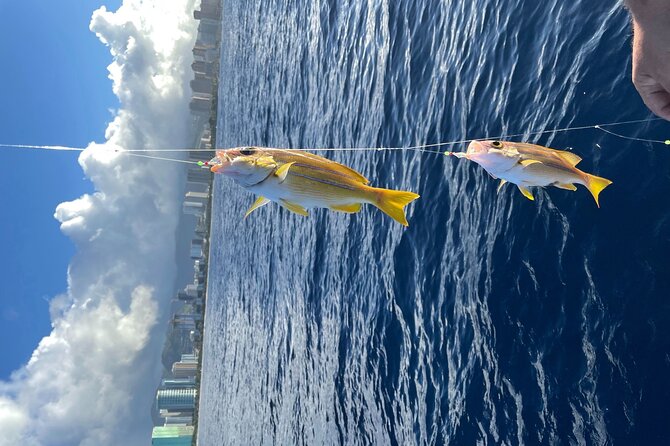 Private Fishing Charter for Family and Friends in Honolulu - Viator Help Center and Pricing