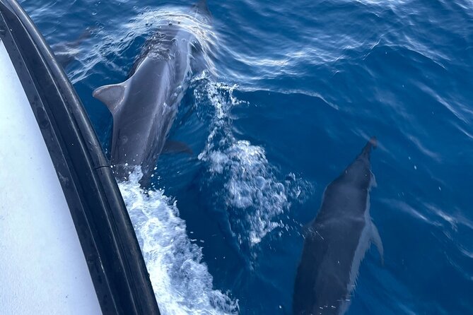 Private Fishing Charter for Family and Friends in Honolulu - Meeting Point and Location