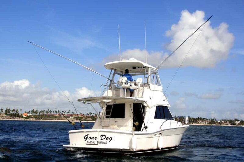 Private Fishing Charters "Gone Dog" 37' boat offshore trip - Good To Know