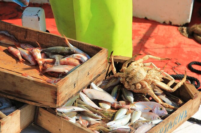 Private Fishing Tour From Athens With A Traditional Fishing Boat - Day on a Traditional Fishing Boat