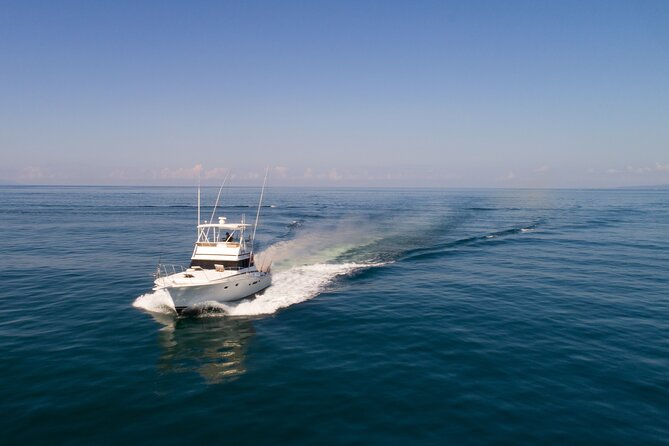 Private Fishing Tour on Karina II, Gisele, or Nicole  - Puerto Vallarta - Pricing and Booking Details