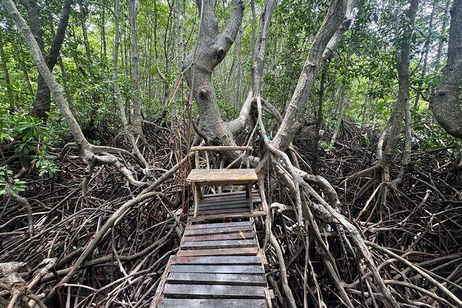 Private Fishing Trip to Koh Tan & Koh Madsum by Speedboat - An Insider Look at the Private Speedboat Fishing Trip