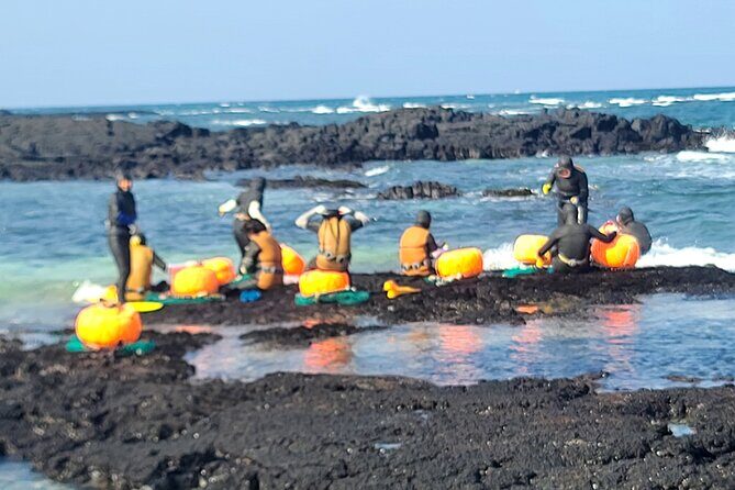 PRIVATE Flexible Tour Cruise Ship international ferry terminal - Why Choose This Jeju Island Private Tour?