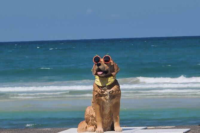 PRIVATE Flexible Tour Cruise Ship international ferry terminal - Practical Tips for Booking and Enjoying