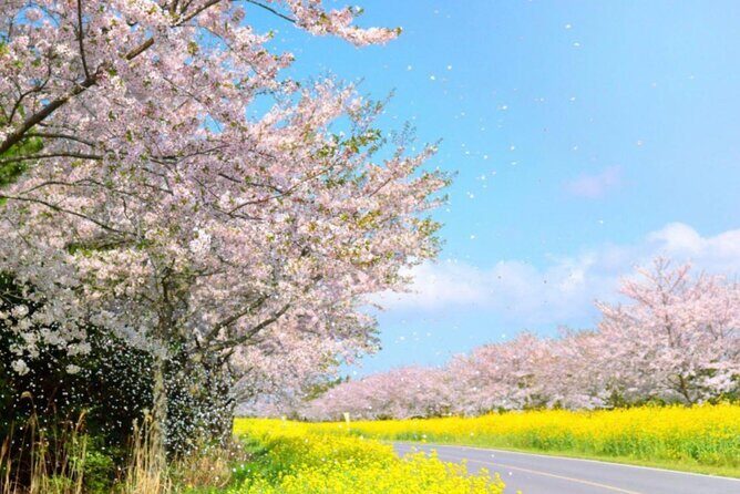 PRIVATE Flexible Tour Cruise Ship international ferry terminal - Why Choose This Tour?