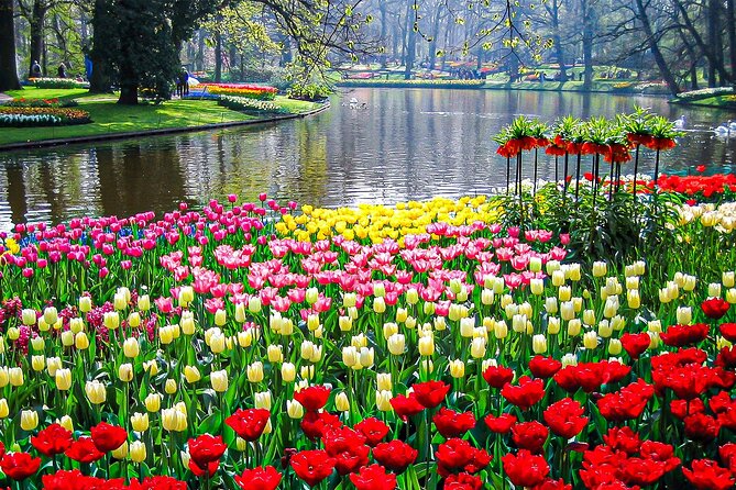 Private Flower Tour to the Keukenhof - Cancellation Policy