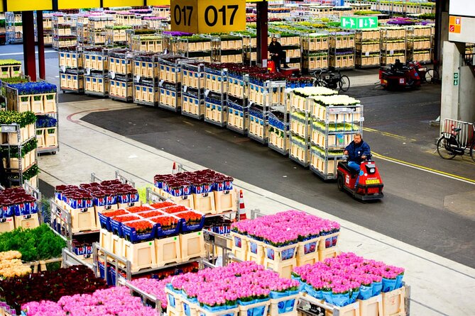 Private Flower Tour to the Keukenhof - Price