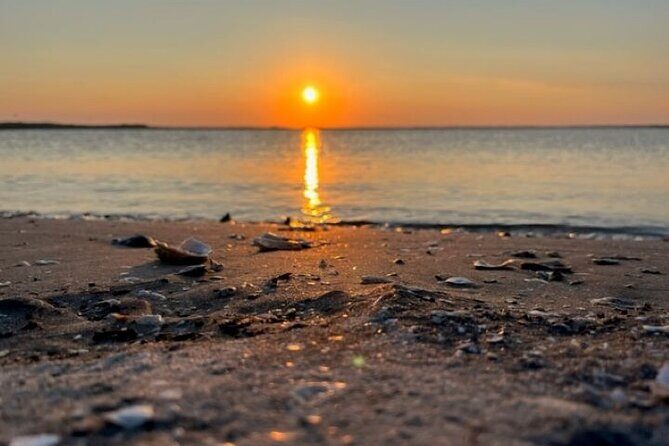 Private Folly River Sunset Dolphin Cruise - Why This Tour Is Worth It