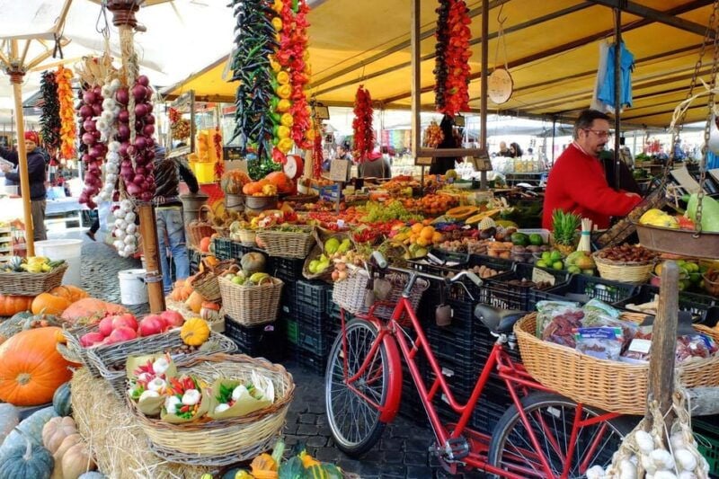 Private food and wine tasting tour in the heart of Rome - Practical Details That Matter
