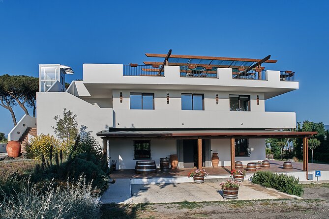 Private Food and Wine Tour by Mount Vesuvius - Schedule and Operating Hours