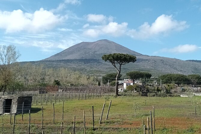 Private Food and Wine Tour by Mount Vesuvius - Price and Booking Information