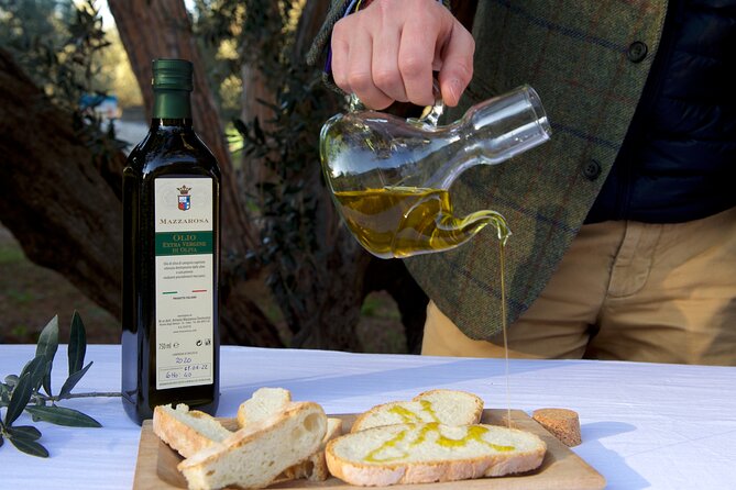 Private Food and Wine Tour in the Cellar With Tastings - The Sum Up