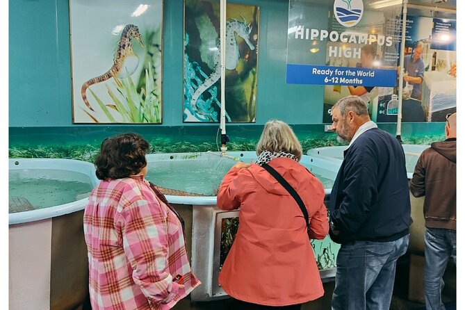 Private Food and Wine Tours in Tasmania - Tour Options