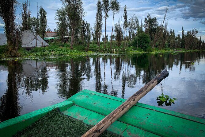 Private Food Tasting and Filmmaking Tour in Mexico City - Good To Know