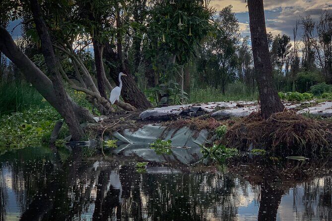 Private Food Tasting and Filmmaking Tour in Mexico City - Who Will Love This Tour?