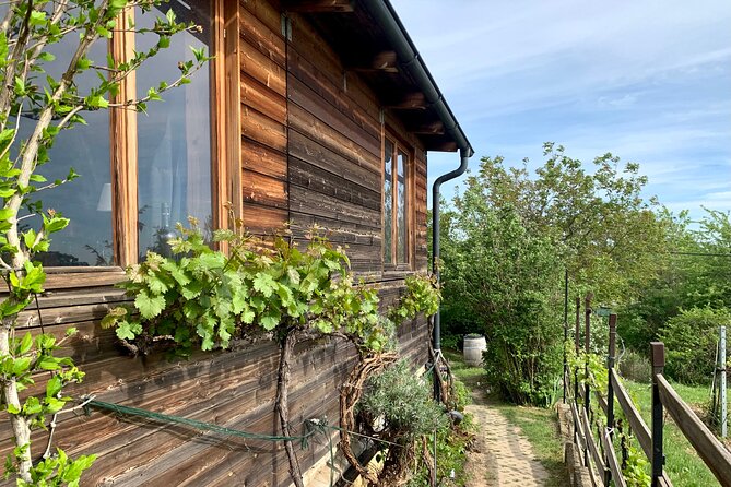 Private Food Tour to Vienna's Best Wineries - Location