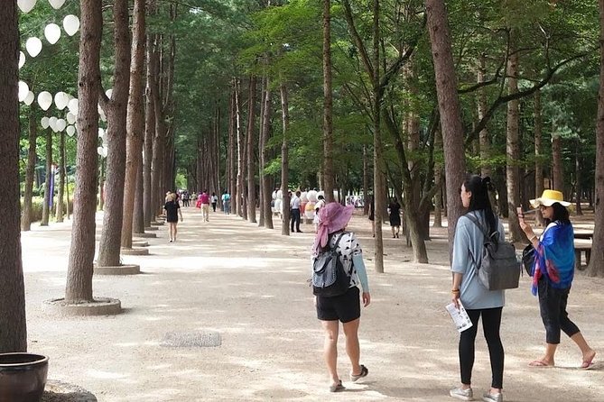 Private for Nami Island and Petite France - Common Questions