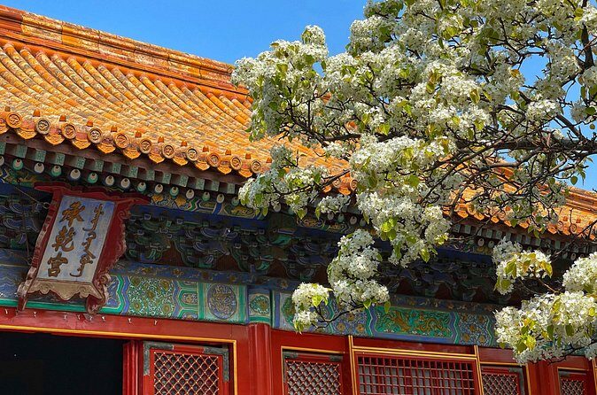Private Forbidden City and Tiananmen with Summer Palace Tour - Practical Considerations and Tips