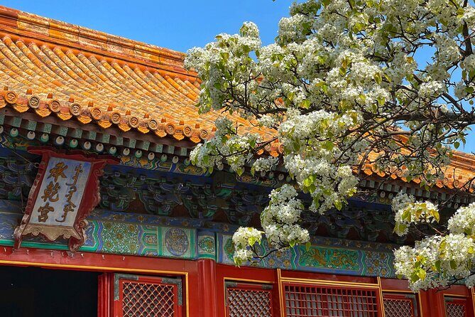 Private Forbidden City and Tiananmen with Summer Palace Tour - Who Is This Tour Best For?