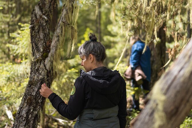 Private Forest Bathing in Serene Whistler Forests - Directions and Meeting Instructions