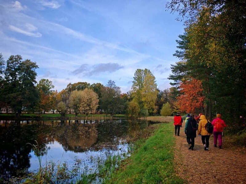 Private Forest Mind Tour in Tampere - The Sum Up