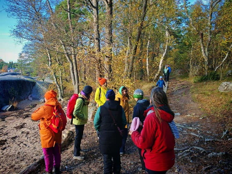 Private Forest Mind Tour in Tampere - The Value of the Forest Mind Tour