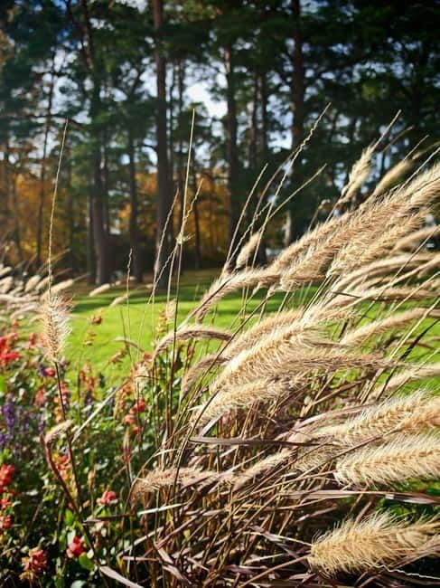 Private Forest Mind Tour in Tampere - Who Will Love This Tour?